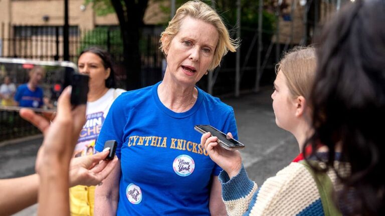 Cynthia Nixon Appointed to Key Judicial Selection Panel in New York