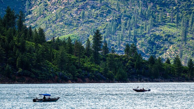 Father-Son Duo Kidnap Forest Service Workers, Hold Them Hostage for Hours in Northern California