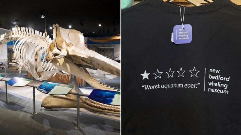 Museum Turns ‘Worst Aquarium Ever’ Review into Viral Merch Sensation