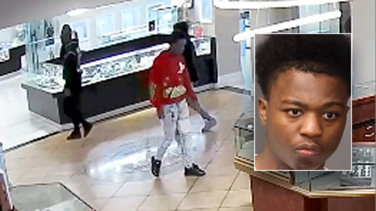 Repeat Jewelry Thief Busted Less Than 24 Hours After Release, Police Say